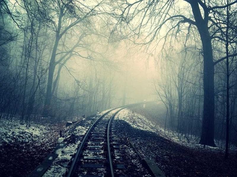 High-End Community Garden #909