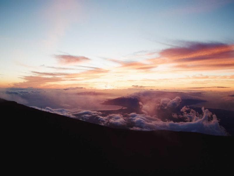 High-End UI/UX Designer #914