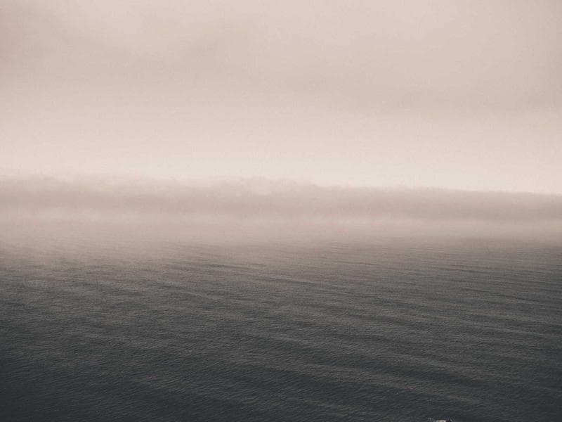 Stylish Senior Software Engineer #916