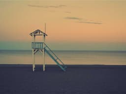 Premium Volunteer Needed #1003 - image 1