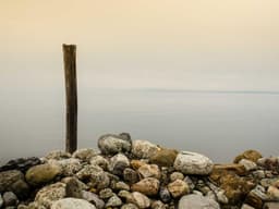 Mid-Range Treadmill #1037 - image 1