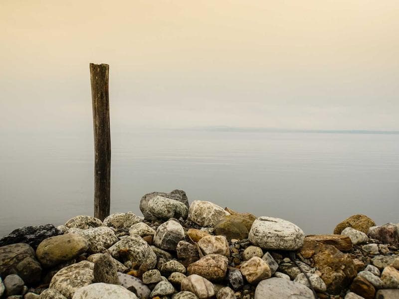 Mid-Range Treadmill #1037