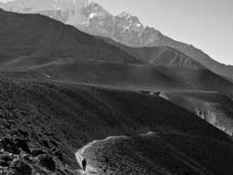 Authentic Fender Guitar #1041 - image 1