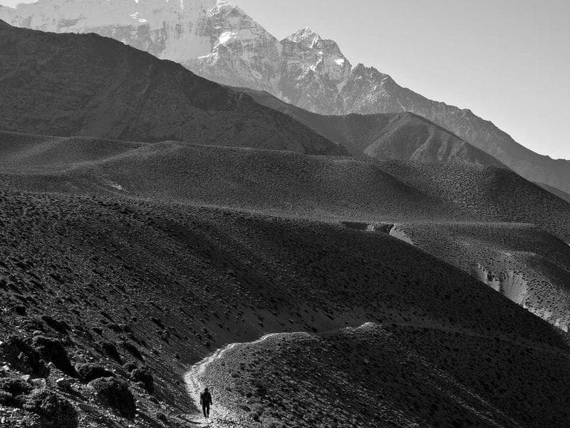 Authentic Fender Guitar #1041