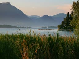 Authentic Fender Guitar #1041 - image 3