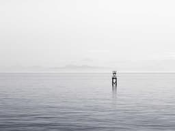 Spacious Car Wash #1044 - image 1