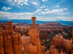 Spacious Car Wash #1044 - image 2