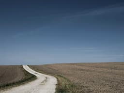 Great Lost Cat #1062 - image 1