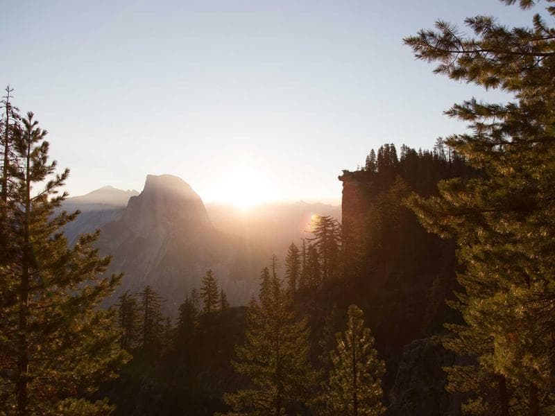 Excellent Nintendo Switch OLED #1083