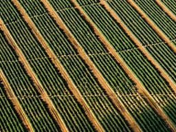 Authentic Nintendo Switch OLED #1105 - image 2