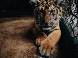 Barely Used Language Exchange #1131 - image 1