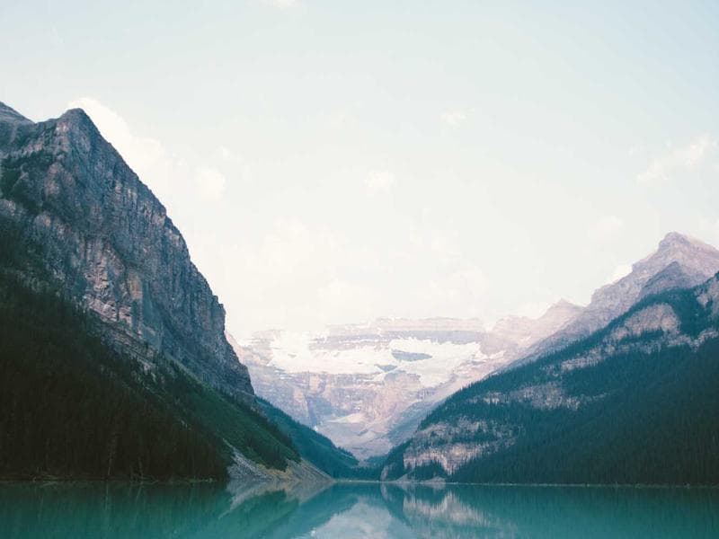 Stylish Moving Help #1155