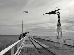 Stylish Bose Headphones #1157 - image 2