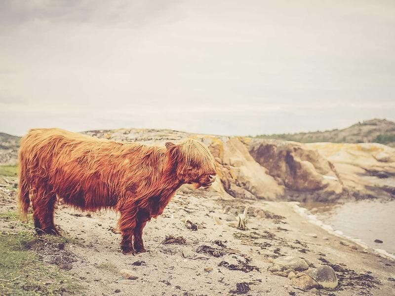 Best-Selling Project Manager #1180