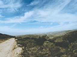 Best-Selling Project Manager #1180 - image 2