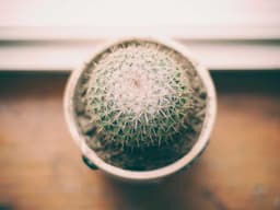 Refurbished Content Writer #1202 - image 2