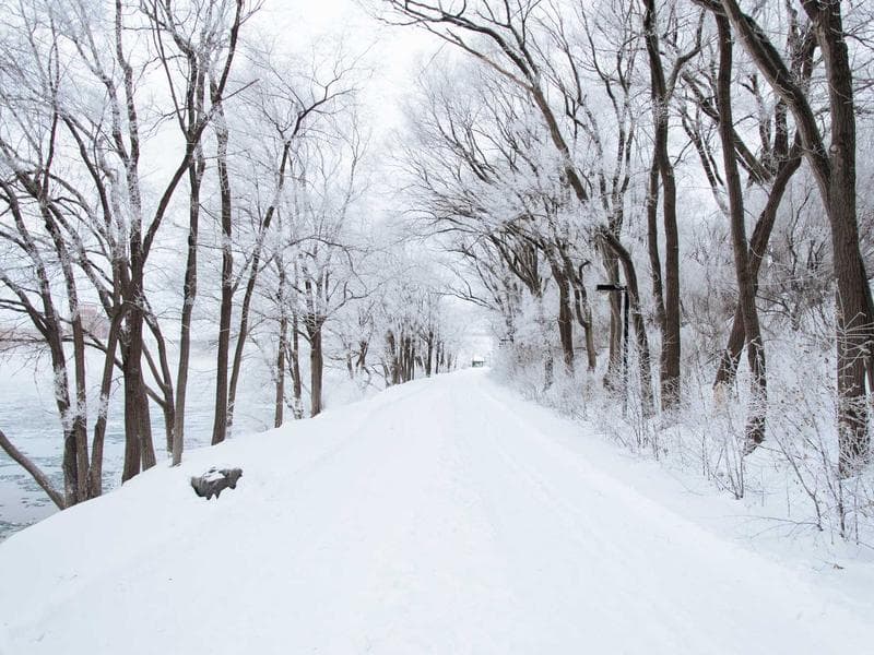 Gold Necklace — 22K, 15 grams #138