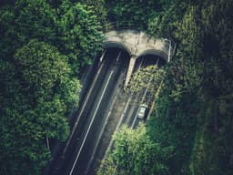 Elegant Moving Help #1273 - image 1