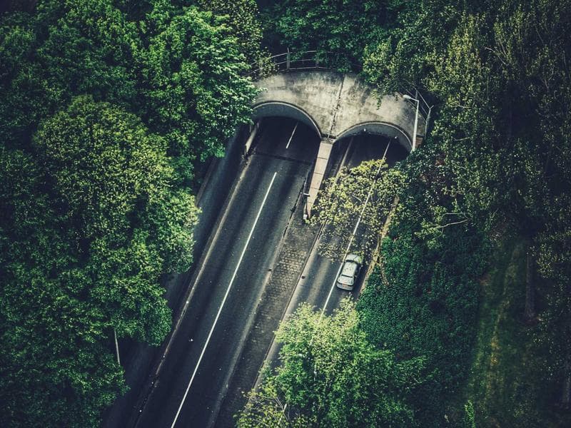 Elegant Moving Help #1273