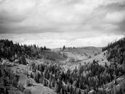 Excellent Baby Stroller #1287 - image 1