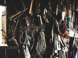 Luxury Car Wash #1294 - image 2