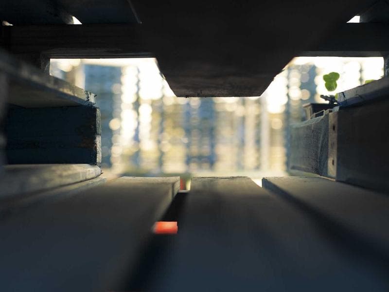 Limited Edition Bookshelf #1305