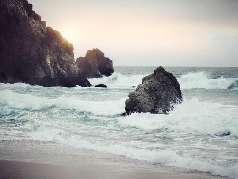 Plumbing Services — Emergency Available #142