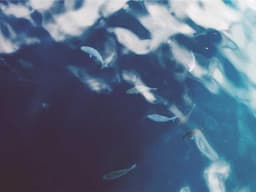 Luxury Moving Help #1314 - image 2