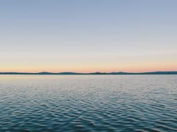 Spacious Driver #1339 - image 2