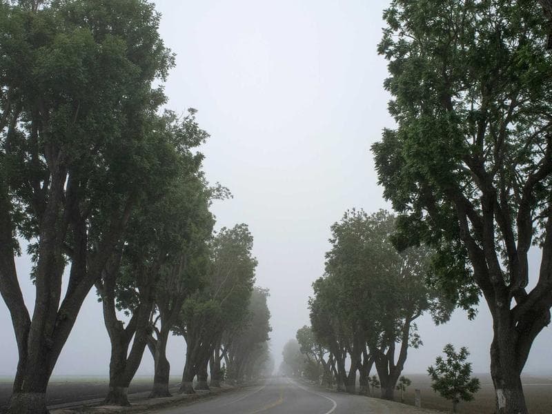 Original Rug 8x10 #1348