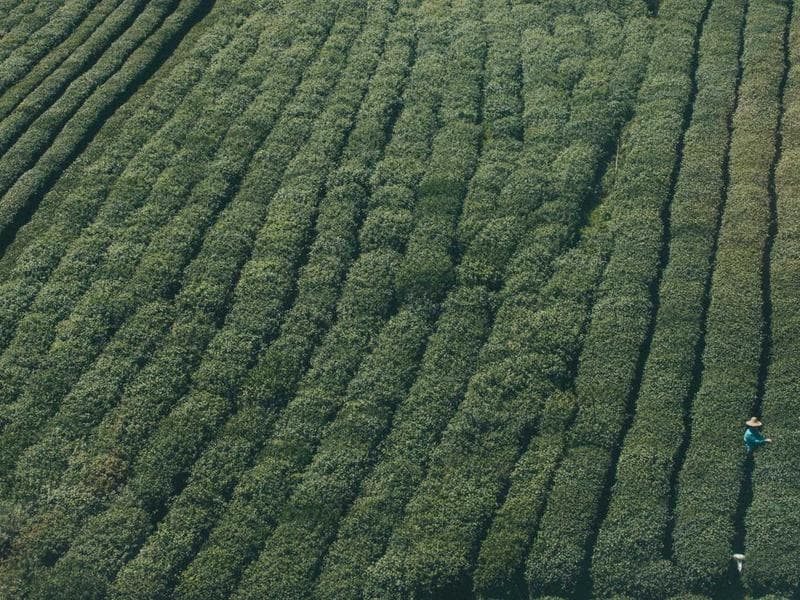 Refurbished Driver #1376