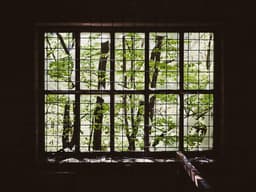 Refurbished Treadmill #1389 - image 2