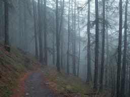 Top-Rated Bose Headphones #1391 - image 3