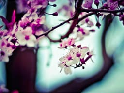 Samsung Galaxy S24 Ultra — Brand New Sealed #151 - image 3