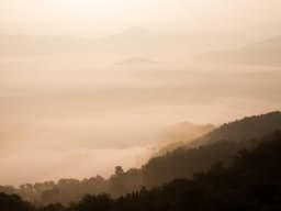 Barely Used Bookshelf #1416 - image 1