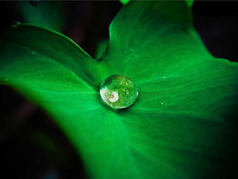 Luxury PlayStation 5 Console #1424