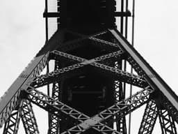 Best-Selling Rug 8x10 #1427 - image 2