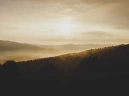 Reliable Memory Foam Mattress #1438 - image 2