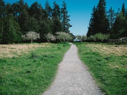 Professional IKEA Shelving Unit #1450 - image 2