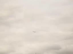 Premium Math Tutoring #1487 - image 2