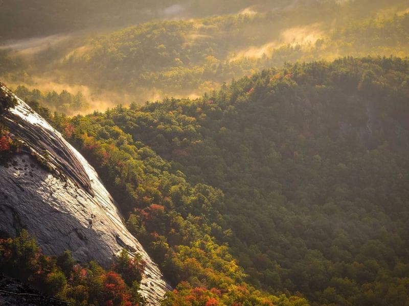 Classic Plumbing #1489