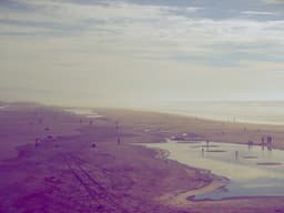 Like New Volunteer Needed #1511 - image 2