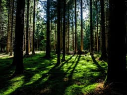 High-End Free Yoga Class #1513 - image 2