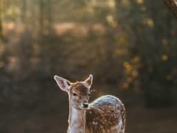 Modern QA Engineer #1526 - image 3