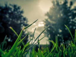 Limited Edition Office Space 500sqft #1534 - image 2