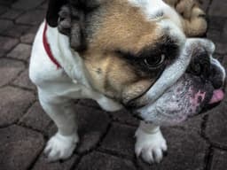 Excellent Found Keys #1535 - image 2