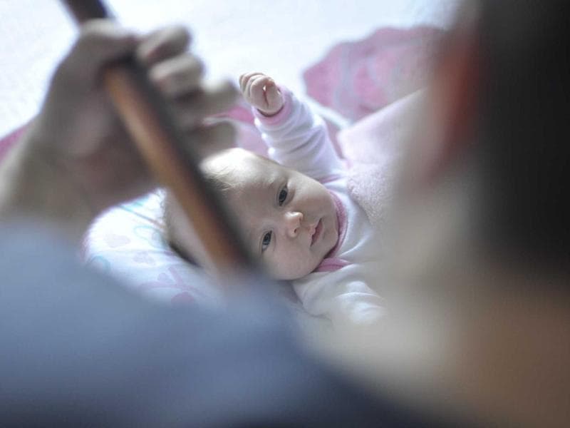 Excellent Bookshelf #1543