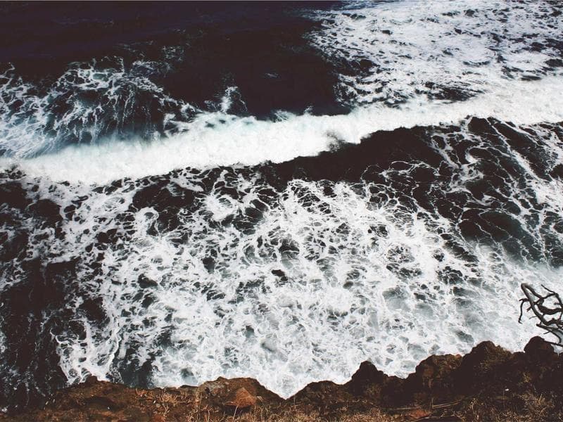 Limited Edition Free Yoga Class #1556