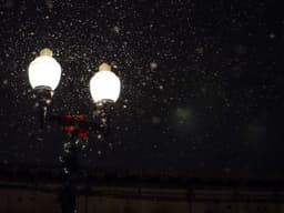 Car Wash — Mobile Service #168 - image 3