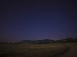 Limited Edition Catering #1590 - image 2